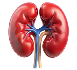 nephrology Logo